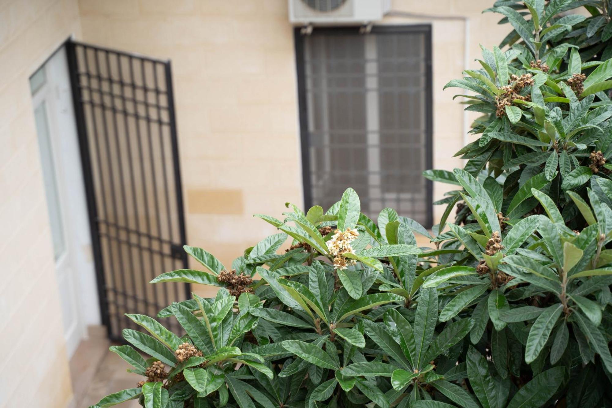 Victoria Apt - Historical Centre Lecce Zewnętrze zdjęcie